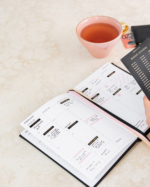 Planner Stickers Budget Pack