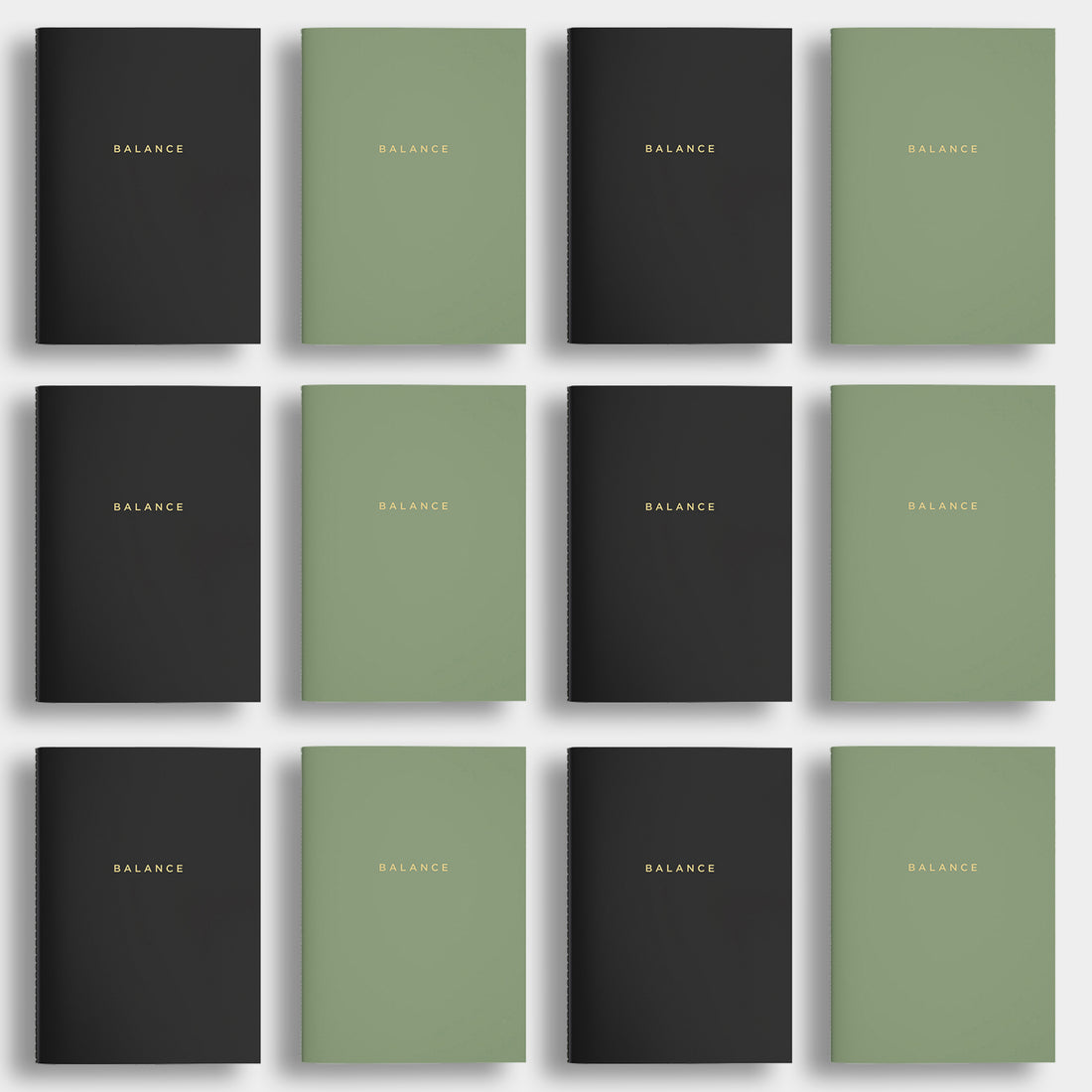 Balance Planner - 12 months