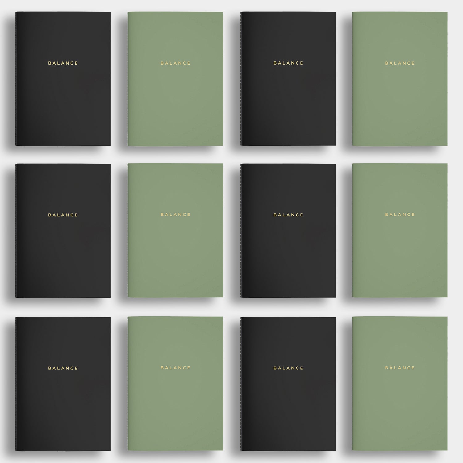 Balance Planner - 12 months