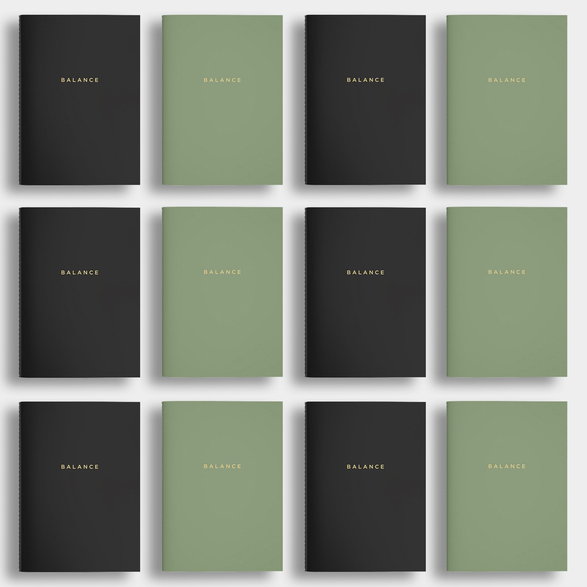 Balance Planner - 12 months