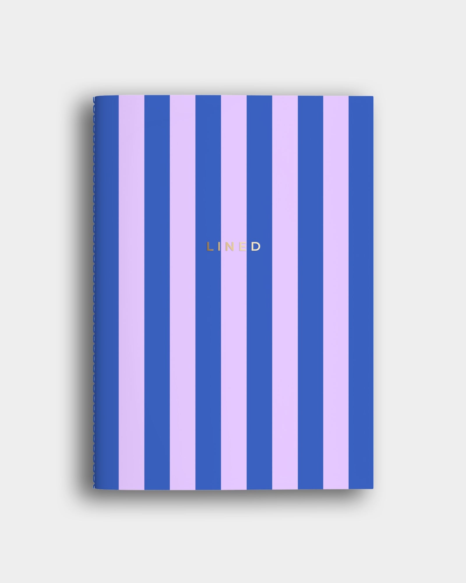 Notes + Scribbles Bundle