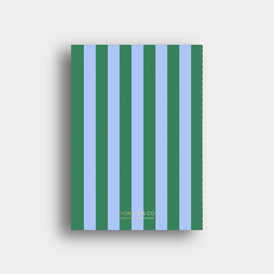 Lined Notebook -  Blue + Green Striped