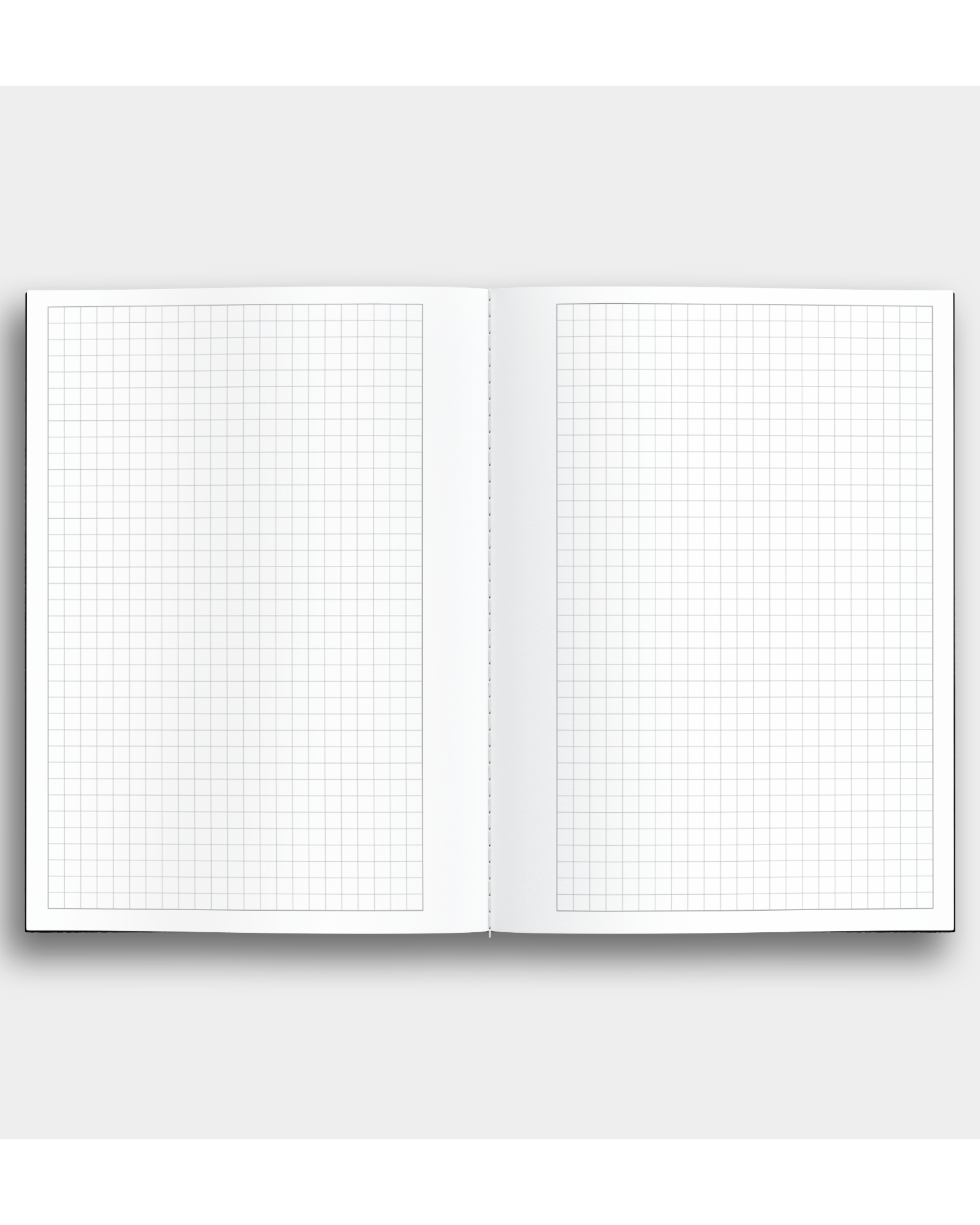 Notes + Scribbles Bundle