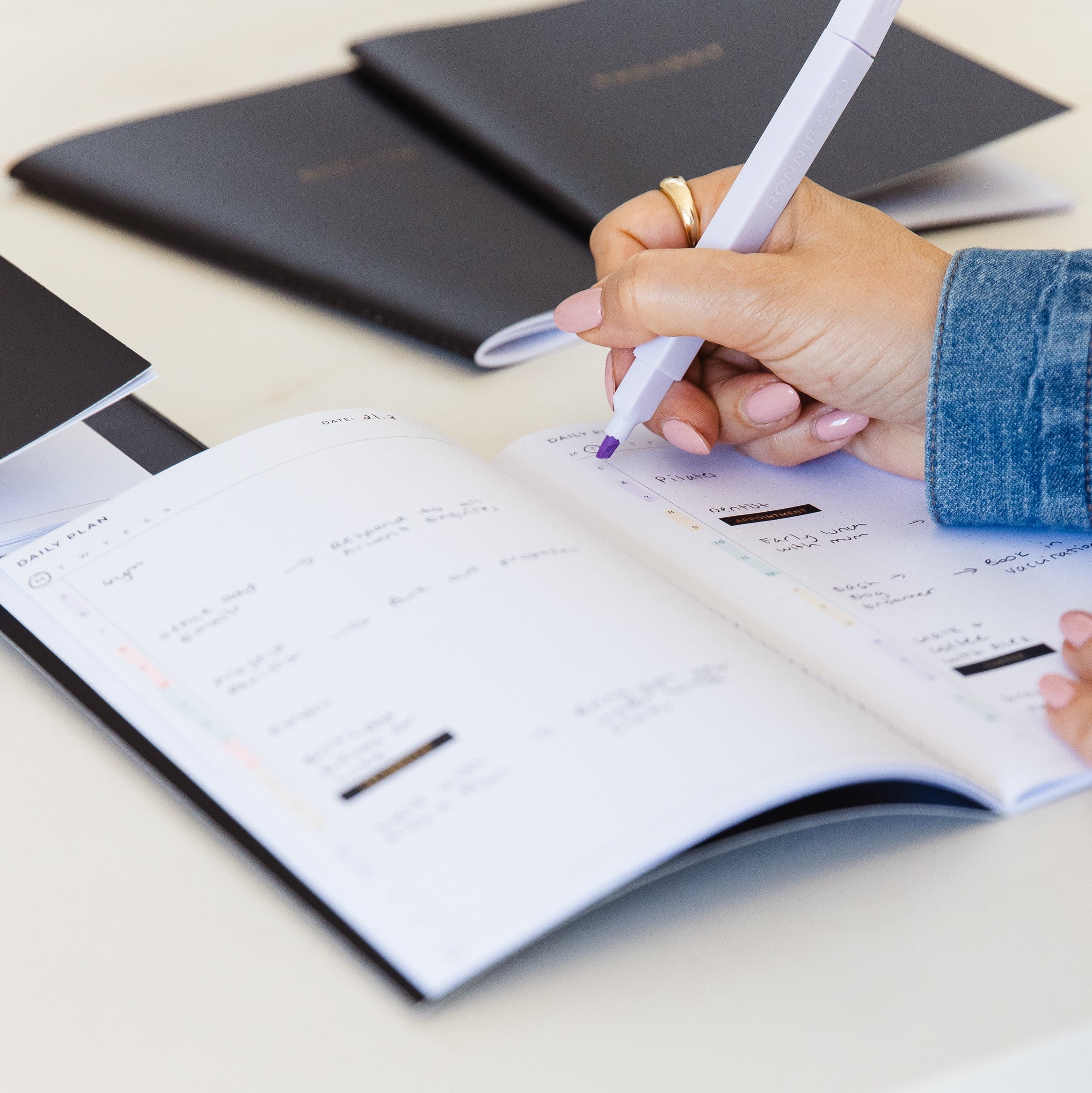 The Everything Notebook  Bundle