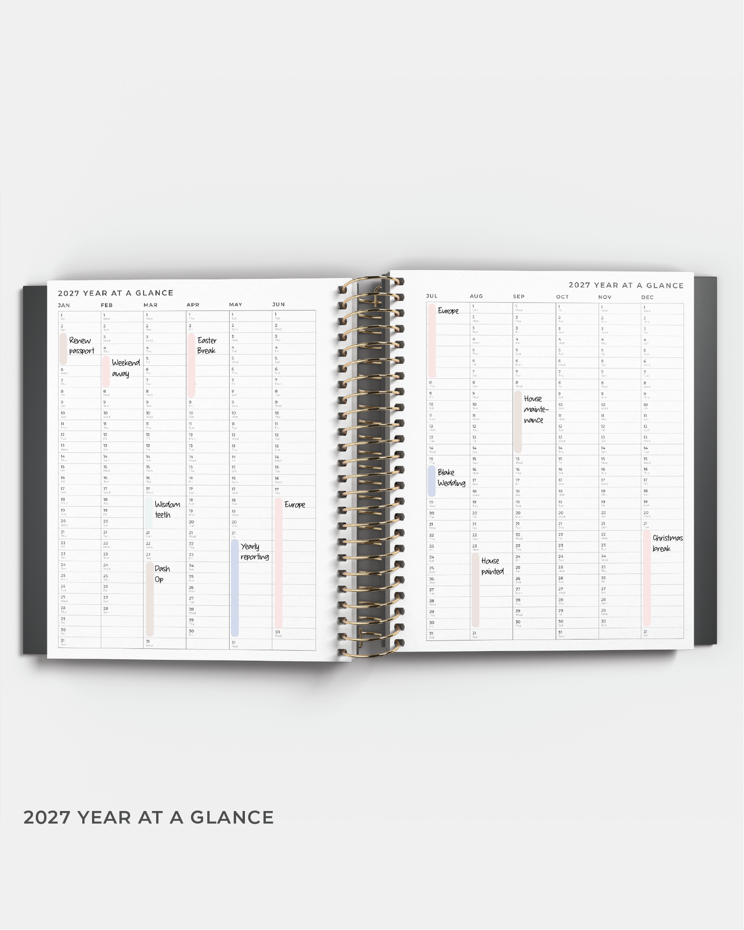 2027 Daily Planner  | PRE-ORDER