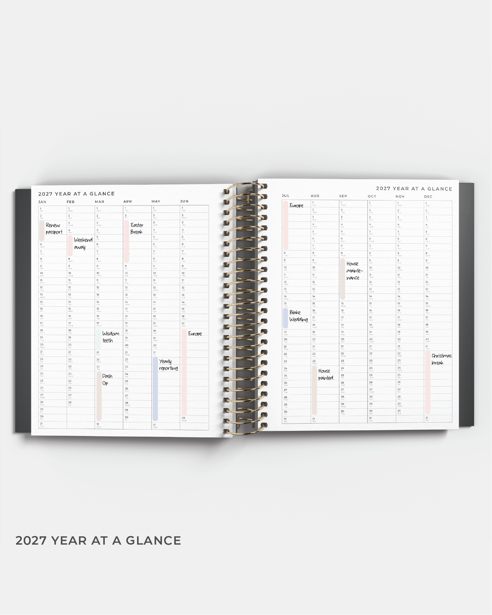 2027 Daily Planner  | PRE-ORDER