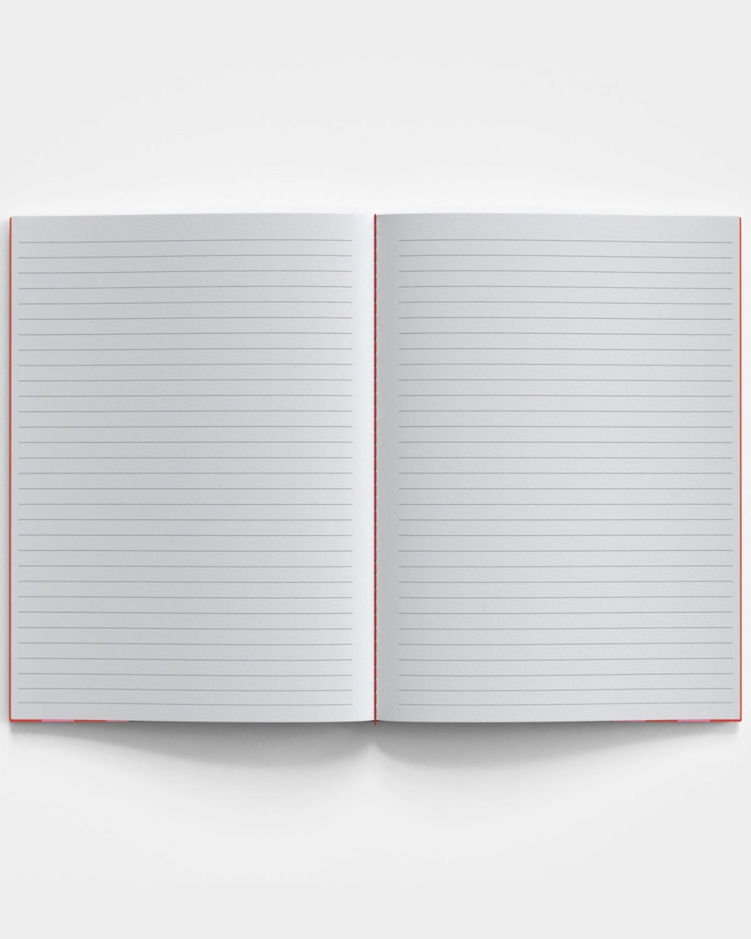Notes + Scribbles Bundle