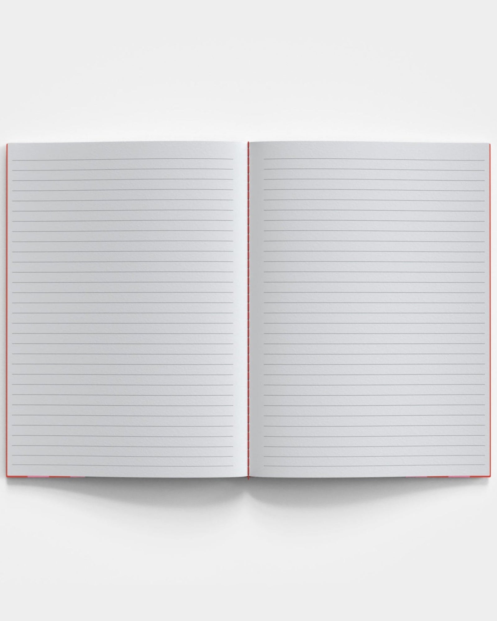 Notes + Scribbles Bundle