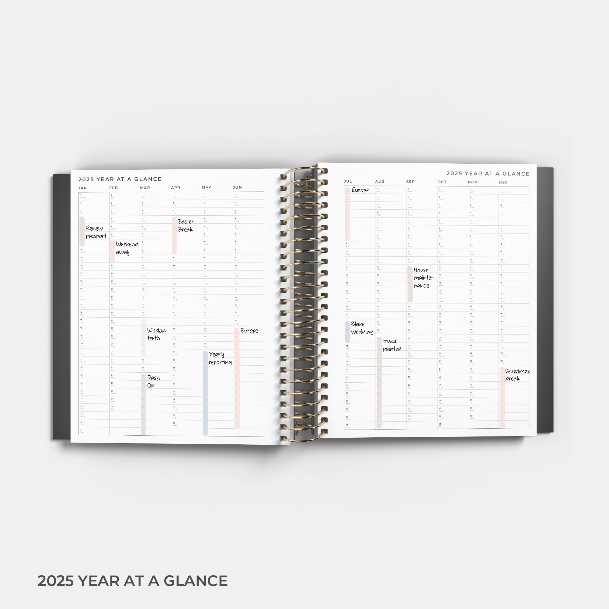 2025 Daily Planner [ Perfectly Imperfect ]